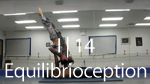 Motion Design Acrobatic Yoga Tutorial DVD Equilibrioception I Exits 14 of 