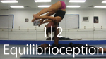 Motion Design Acrobatic Yoga Tutorial DVD Equilibrioception I Exits 2 of 