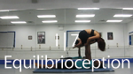 Motion Design Acrobatic Yoga Tutorial DVD Equilibrioception I Exits 7 of 